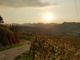 Erholung in der südsteirischen Weinregion inkl. Frühstück | 4 Nächte