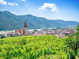 Mit dem Rad durch die Wachau – Kultur & Genuss in Krems | 5 Nächte inkl. Frühstück & Kombikarte