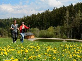 Endlich wieder Kurzurlaub im Waldviertel inkl. 5-Gang Menü | 4 Nächte