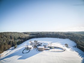 Vorweihnachtszeit im Waldviertel genießen inkl. 5-Gang Menü | 6 Nächte