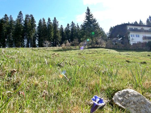 Natur pur - Energietanken und Hangsegeln auf der Alm in Kärnten | 4 Nächte