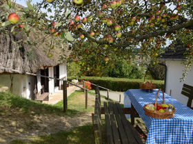 Urlaub in der Heimat des Uhudlers | 5 Nächte inkl. Burgenland Card