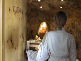 Kurzurlaub in der Heimat des Uhudlers inkl. Burgenland Card | 1 Nacht 