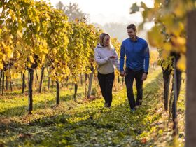 Urlaub in der Heimat des Uhudlers | 5 Nächte inkl. Burgenland Card