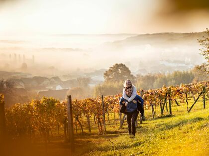 Goldener "UHUDLER" Herbst im Südburgenland 
