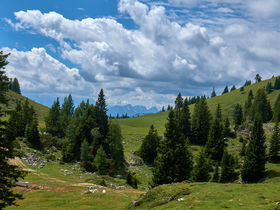 Kärnten Card & Wellness im Naturpark Dobratsch | 5 Nächte 6 Tage