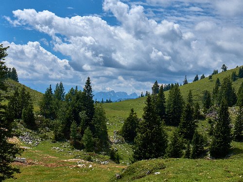 Last Minute - Sommer in Kärnten inkl. 20% Rabatt Gutschein | 4 Tage