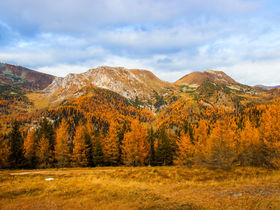 Goldener Herbst in den Nockbergen | 2 Nächte
