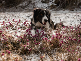 Auszeit nach Weihnachten buchbar für den Zeitraum 26.-27. Dezember 2025