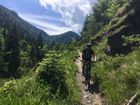 Auszeit genießen im Salzburger Saalachtal | 4 Nächte 