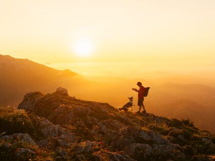 Hundtastisch! Berge, Spaß & Abenteuer in Zell am See | 3 Nächte