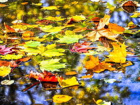 Bunter Herbst im Salzburger Land | 2 Nächte