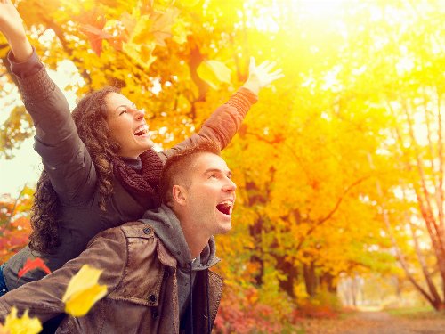 Goldener Weinherbst in der Wachau inkl. Abendessen | 4 Tage