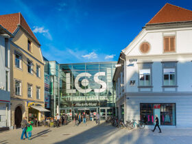 50 Shades of...... | Ms. Steel & Mr. Grey für einen Tag