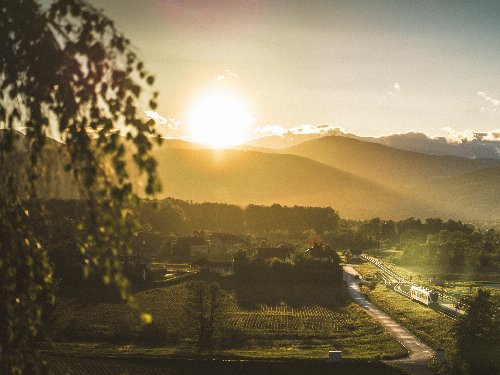 SOMMER-Special in der Südsteiermark