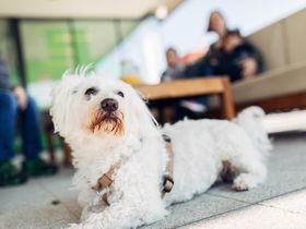 4 Tage Harry's 3=2 Special in Graz