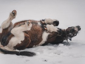Kurzurlaub im Salzburger Land inkl. Frühstück | 5 Nächte
