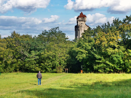 Ankommen & Wohlfühlen - Kurzurlaub im Wienerwald mit "Wald Wellness" | 2 Nächte