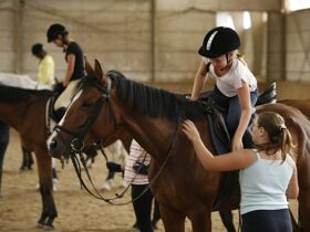 Wienerwald hoch zu Ross - Reiterlebnis für Pferdefreunde | 2 Nächte