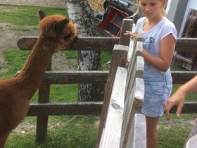 Winterauszeit in der Salzburger Sportwelt