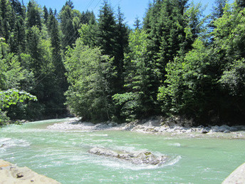 Bild 35 von 35