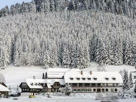 Rauf auf die Teichalm - Urlaubsglück am See auf der Alm inkl. Halbpension | 2 Nächte