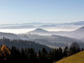 Kuschel Kurzurlaub in der Steiermark mit Candle-Light-Dinner | 2 Nächte