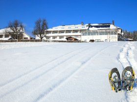 Silvester im Böhmerwald inkl. Feuerwerk zu Mitternacht & Galadinner
