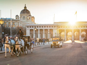Ausfliegen & aufblühen - Städtetrip in Wien inkl. Öffiticket | 4 Nächte