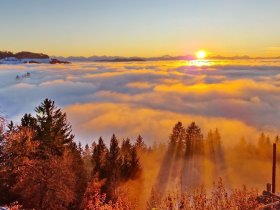 Herbstzeit ist Wander, Spazier und Reitzeit auf 1000 Meter mit herrlicher Aussicht
