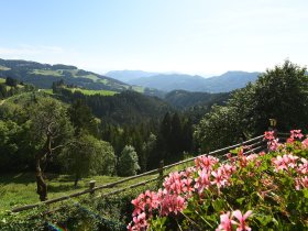 Herbstzeit ist Wander, Spazier und Reitzeit auf 1000 Meter mit herrlicher Aussicht