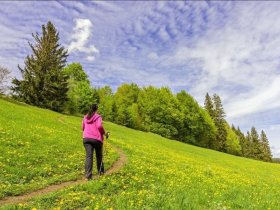 Frühling in den Bergen 