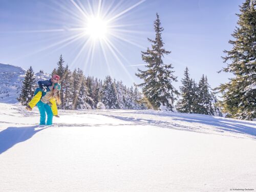 Winterferien Ski & Natur - Erlebniswoche inkl. Dinner | 4 Nächte im Februar