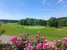Erholende Tage im Weinort in der Südoststeiermark | 1 Nacht
