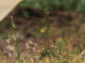 Streicheleinheiten im steirischen Pöllauberg inkl. Verwöhnpension & GenussCard | 3 Nächte