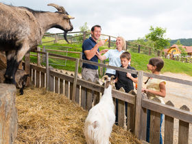 Streicheleinheiten im steirischen Pöllauberg inkl. Verwöhnpension & GenussCard | 3 Nächte