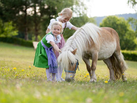 Streicheleinheiten im steirischen Pöllauberg inkl. Verwöhnpension & GenussCard | 3 Nächte