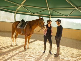 Streicheleinheiten im steirischen Pöllauberg inkl. Verwöhnpension & GenussCard | 3 Nächte