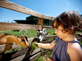 Kurzurlaub in Lutzmannsburg MIT Frühstück und MIT Therme | 2 volle Tage | 1 Nacht