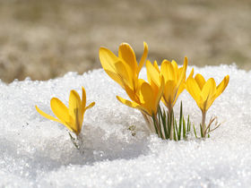 Oster-Familien-Angebot inkl. WildschönauCard | 4 Nächte mit Abendessen