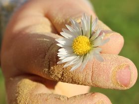 Das Wandern ist... auch meine Lust | 4 Nächte 