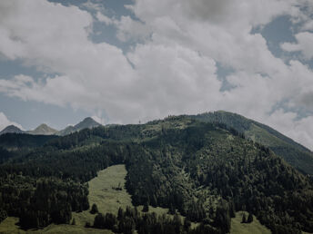 Bild 27 von 31