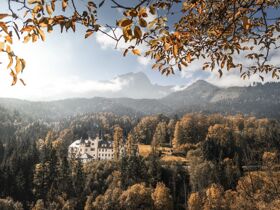 Goldener Herbst und Wildzeit| 2 Nächte inkl. Wildmenü & Eintritt in das Stift Admont