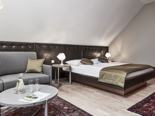 Hotel Birkenhof Bad Radkersburg