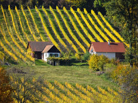 5 Nächte in Bad Radkersburg inkl. Frühstück & ermäßigtem Thermeneintritt