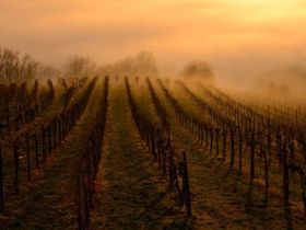 5 Nächte in Bad Radkersburg inkl. Frühstück & ermäßigtem Thermeneintritt