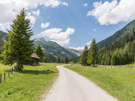 Aktivurlaub im Salzburger Land inkl. Abenteuer mit der Lungau Card | 3 Nächte