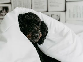 Private Auszeit am Katschberg inkl. Privater Wellness| 5 Nächte