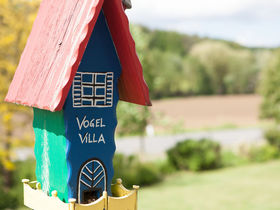 Heilfasten nach DR. Buchinger