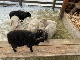Erholungsurlaub im Salzburger Land inkl. LungauCard | 2 Nächte